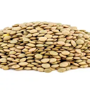 عدس درشت یک کیلویی