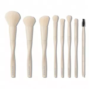 ست براش حرفه ای 8 تایی شیگلم Sheglam Pro Core Brush Kit