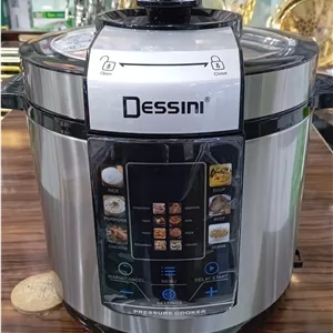 زودپز 6 لیتر دسینی مدل DS-450