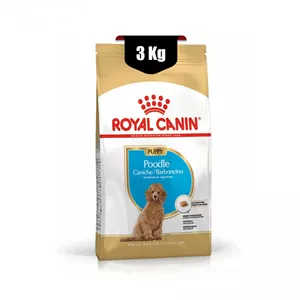 غذا خشک سگ پاپی نژاد پودل 3 کیلوگرمی Royal Canin Poodle Puppy