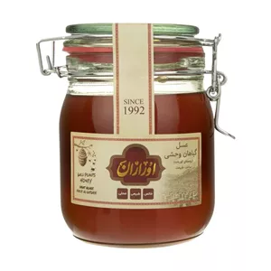 عسل گیاهان وحشی 1000 گرم اورازان
