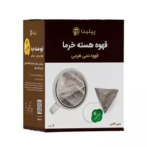 قهوه دمی هرمی هسته خرما پپتینا جعبه 6 عددی