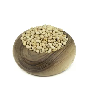 سویا آجیلی 500 گرم
