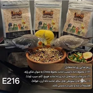 غذای روزانه پرندگان