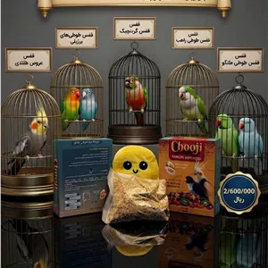 غذای نرم پرندگان