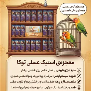 استیک عسلی پرندگان