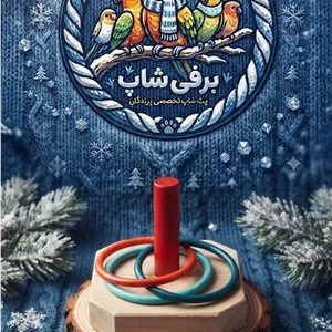 بازی فکری حلقه پرندگان
