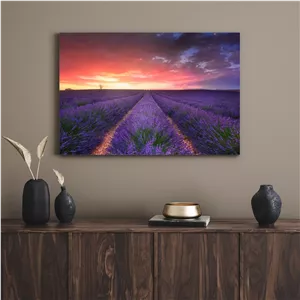 تابلو طبیعت زیبا و بکر Beautiful and pristine nature