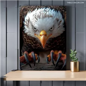 تابلو عقاب پادشاه آسمان The eagle is the king of the sky