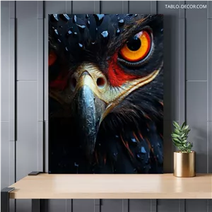 تابلو چشم عقاب eagle eye