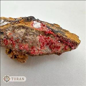 کانی کمیاب وانادنیت قرمز طبیعی و کلکسیونی 56 گرم