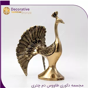 طاووس دم چتری