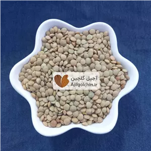 عدس درشت