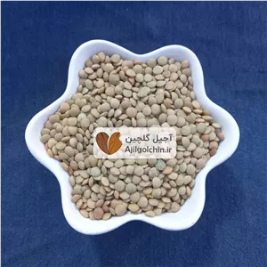 عدس ریز