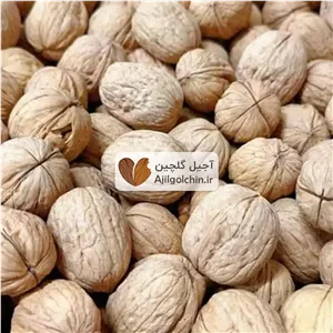 گردو پوست کاغذی