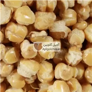 گندمک (گندم شور)