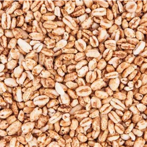گندم شیرین