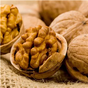 گردو تویسرکان