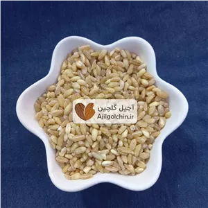 گندم حلیم
