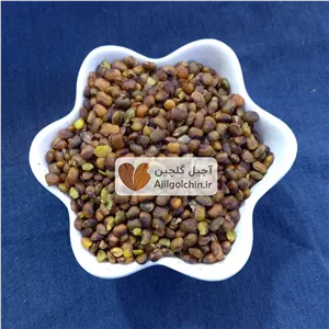 مغز بنک (بنه کوهی)