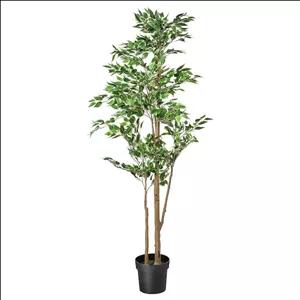 گلدان بنجامین 170 سانت ایکیا مدل FEJKA