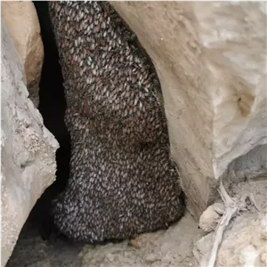 عسل سیاه ویرانگر نایاب قدرت برتر نژاد متفاوت زنبور ریز وحشی تابستانه ۲۰۰ گرم