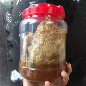 عسل وحشی شاخه صادراتی درجه یک فارس دو کیلویی