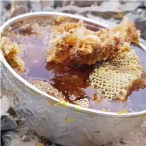 عسل وحشی کوهی صخره نژاد برتر زنبور وحشی ریز ۵۰ گرم