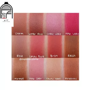 پالت رژگونه 12 رنگ OFRA PROFESSIONAL Blush Palette