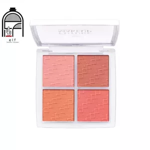 پالت رژگونه فیوچر میکاپ مدل FU3601 Future Makeup Blush Palette FU3601