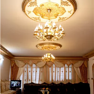 دایره ۱۲۰کماندار ( کد ۳۲۰ )