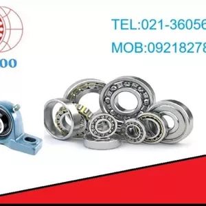 گریس نسوز پایه لیتیوم قوطی پلاستیکی227 گرمی