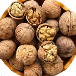 گردو پوست کاغذی ایرانی درجه یک ۵۰۰ گرمی