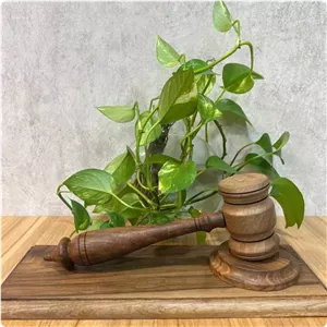 چکش قاضی با صفحه زیرین