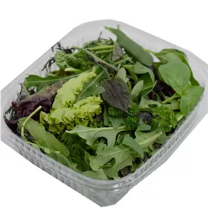 میکس سبزیجات سالاد ارگانیک