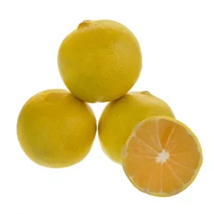 لیمو شیرین ارگانیک