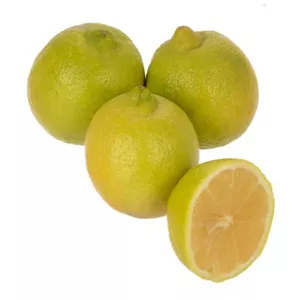 لیمو ترش سنگی ارگانیک