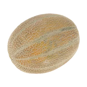 طالبی شاه پسند ارگانیک