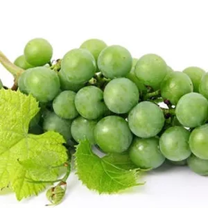 غوره ارگانیک  تازه