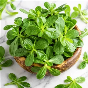 سبزی خرفه
