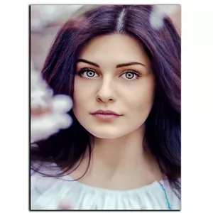 تابلو شاسی دنیای قاب طرح طبیعت بهار و عکاسی چهره مدل SH-7411