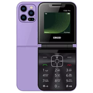 گوشی موبایل ارد مدل F250 Pro دو سیم کارت