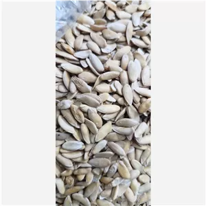 تخم خربزه یک کیلو