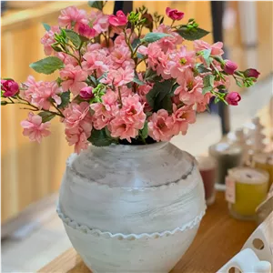 بوته ی شکوفه
