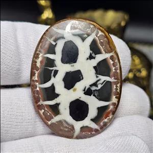 نگین کلکسیونی سنگ طبیعی سپتارین معدنی مراکش کد 34523