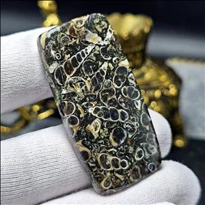 نگین درشت کلکسیونی سنگ طبیعی فسیل تورتیلا معدنی کد 34674