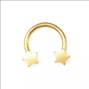 پیرسینگ نعلی ستاره ۱۰mm کد 2385