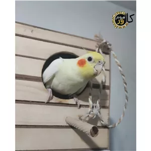 لانه پرنده عروس هلندی هوم کاور مدل Home Bird