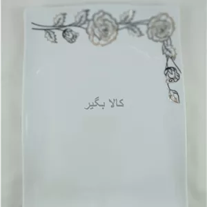 دیس 34 طرح پرستیژ چینی پردیس کاشان