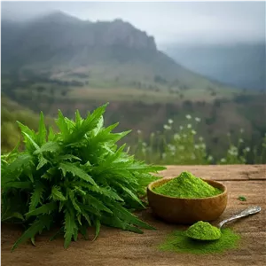 پودر قازیاقی « بمب چربی سوز لاغری » ۱کیلو